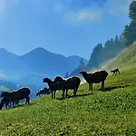 Lejlighed Oberstaudach Kitzbühel