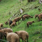 Oberstaudach Daire Kitzbühel