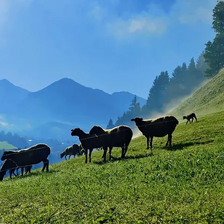 Apartman Oberstaudach Kitzbühel