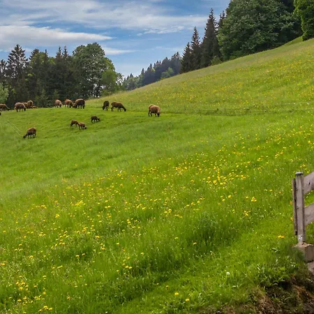 Oberstaudach