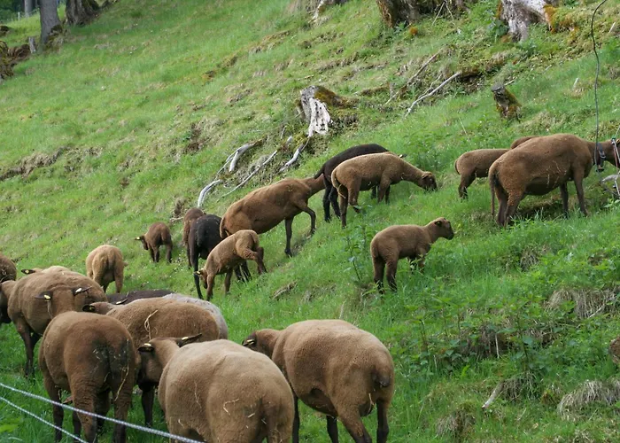 Oberstaudach Appartamento Kitzbühel
