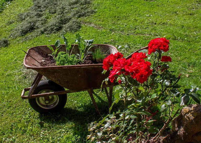 Oberstaudach 아파트 *