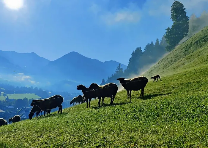 아파트 Oberstaudach 키츠부헬