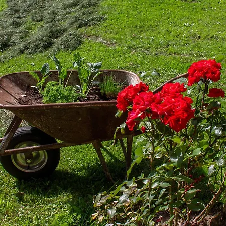 Oberstaudach Daire *