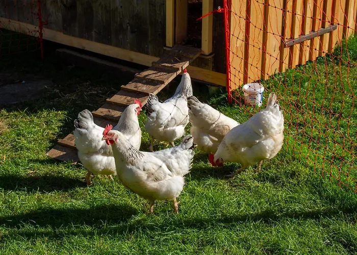 Oberstaudach Daire Kitzbühel